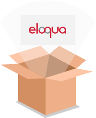 Eloqua Consulting